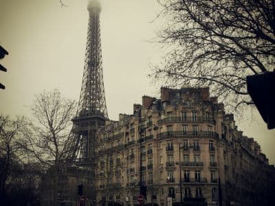 The top portion of the Eiffel Tower is visible, towering above a detailed, multi-story building in classic Parisian architectural style. Bare tree branches are silhouetted against the hazy, overcast sky on either side of the frame, suggesting a cooler season.